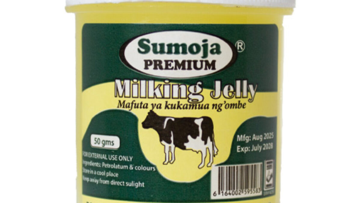 Busty jojalar bilan porno onlayn